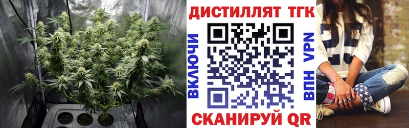 Дистиллят ТГК жижа цена Нижний Ломов