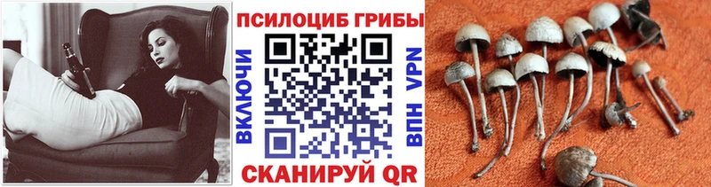 Галлюциногенные грибы MAGIC MUSHROOMS Нижний Ломов